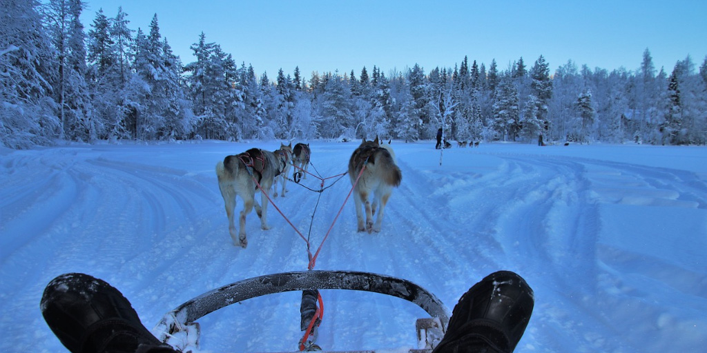 rovaniemi huskyajelu lumimaise